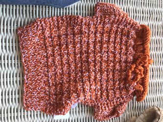 Pumpkin dog jacket.