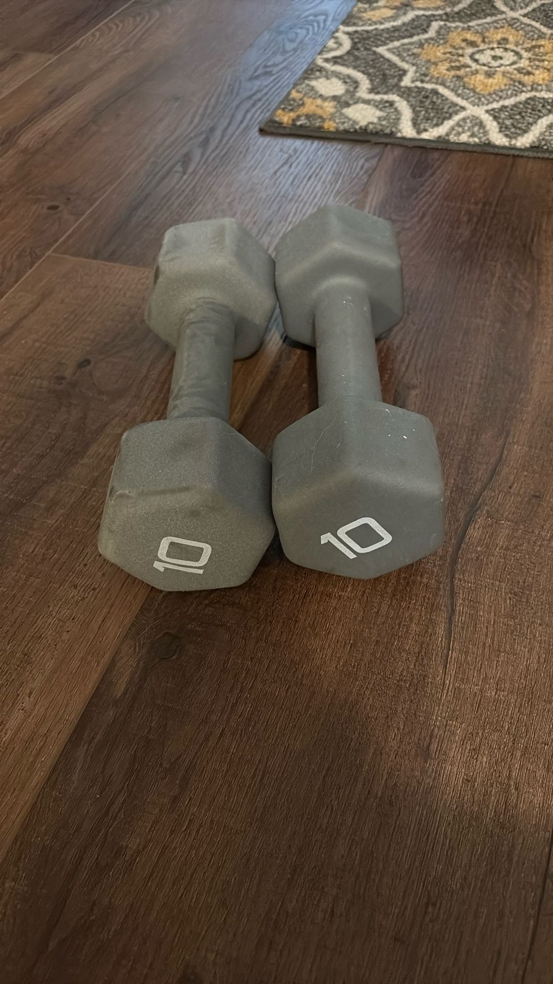 10 Lb Dumbbells