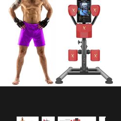 Nexersys Boxing Interactive 