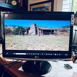 LG Flatron 20” Computer Monitor