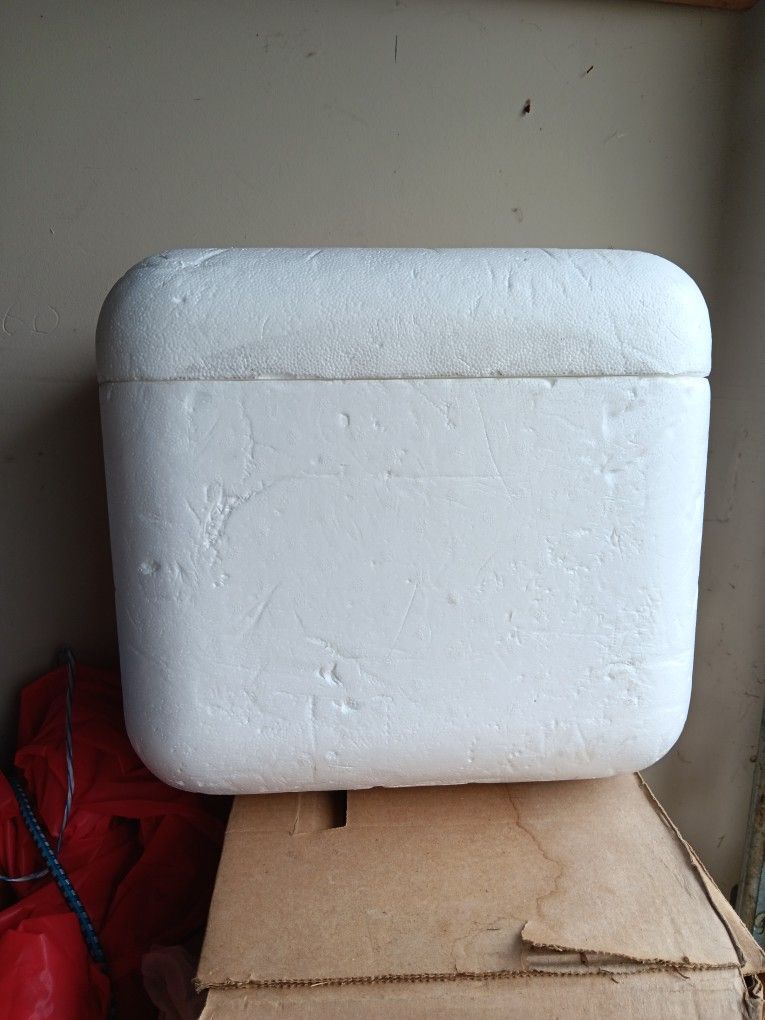 Set Of 3 Styrofoam Coolers