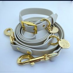 Biothane Waterproof Leash and Collar Set
