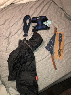 Dog collar, leash, rain jacket - XS/S