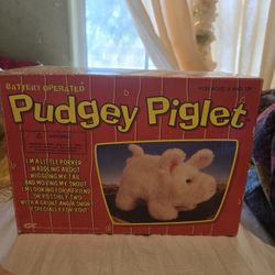 Pudgey Piglet Toy 1986 IWAYA w/box