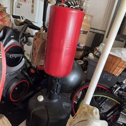 Century Wavemaster Free-Standing Punching Bag – $90