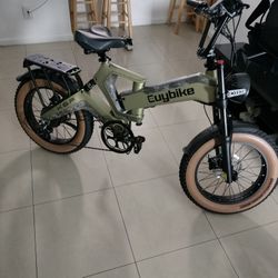 Electric Bike 