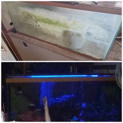 225 Gallon Tank with Fluval FX6 Canister Filter (INCLUDES EXTRA TANK GOODIES)