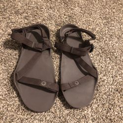 Xero Men’s Barefoot Sandal 