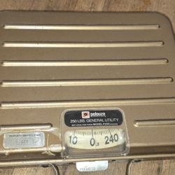 Pelouze General Utility Scale.
