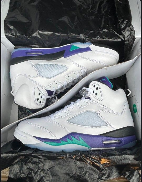 Brand New Air Jordan 5 Grapes, Size 11 Men's
