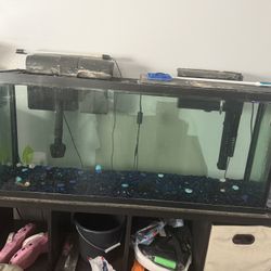 55 Gallon Fish Tank For Sale 