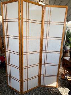 Panel divided screen