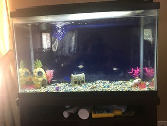 Pescara con motores, filtros, y luces que cambian de color extras