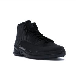 Jordan 12