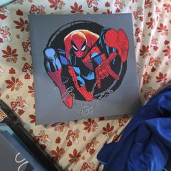 Spiderman Art 