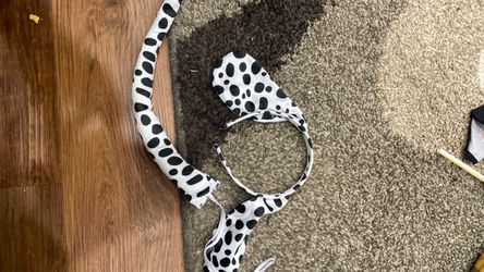 Dog costume