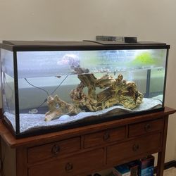 55 Gal Fish tank With Accessories And Supplies 