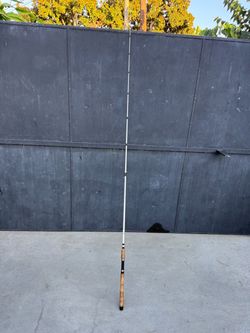 SHIMANO spinning Terez rod