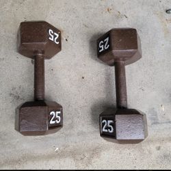 25 Lbs Dumbbells 