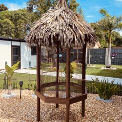 Bird Cage