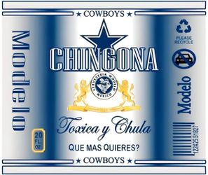 Dallas cowboys metal tumblers