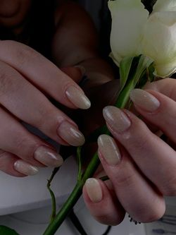 PROFESSIONAL NAIL SERVICES IN TAMPA
