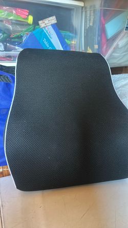 Black Mesh Back rest