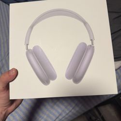 Airpod Max Purple