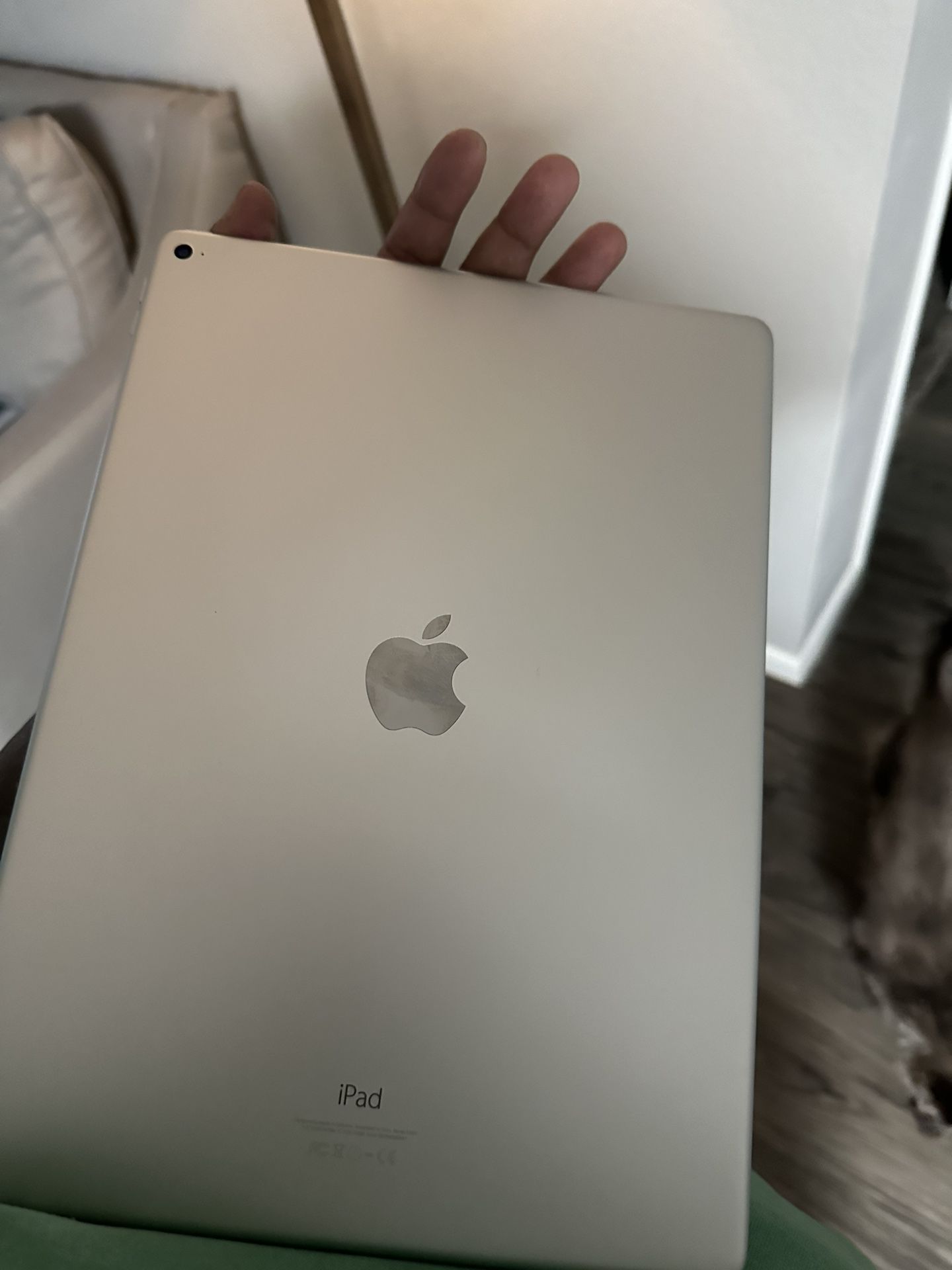 1st Gen iPad Pro (won’t Power On)