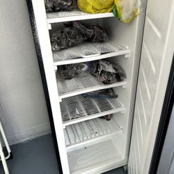 Freezer For Sale