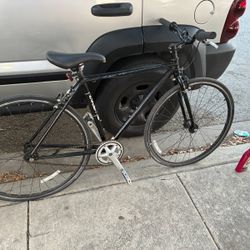 Trek Earl 45 cm Black Ace 
