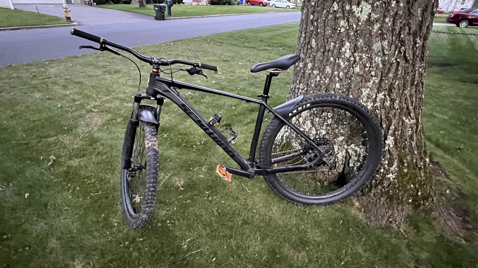 Schwinn Large 29” MTB