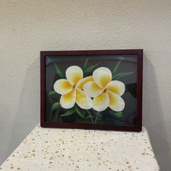 Painting On Canvas Framed 