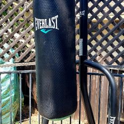 Everlast Punching Bag & Stand