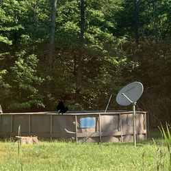 Huge above ground pool