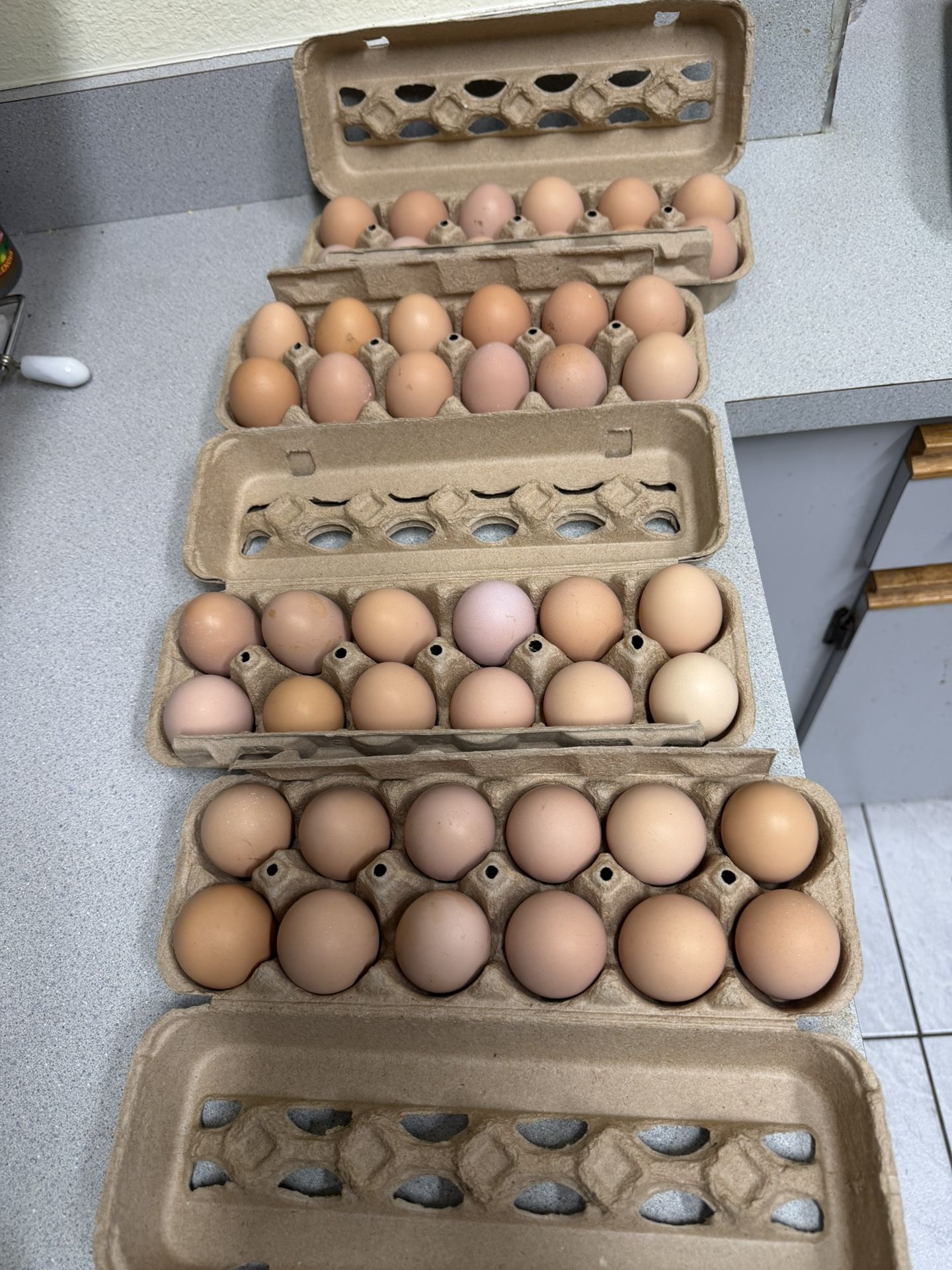 Organic Eggs $5 Each 