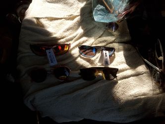Sun Glasses