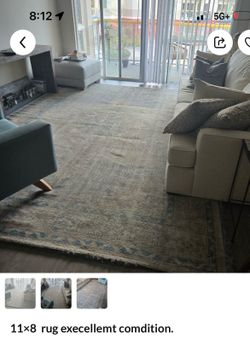 Beautiful oriental rug
