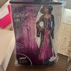 Enchantress Halloween Costume 