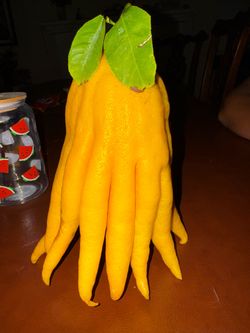 Fruit
