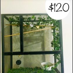 Large Reptile Screen Enclosure