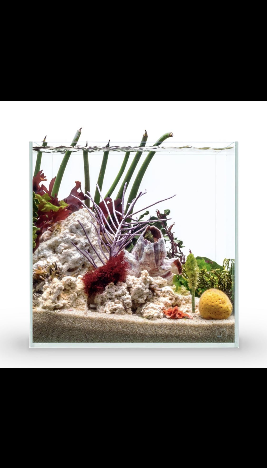 Ultum Nature Systems - 4 Gallons