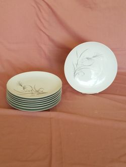8 dinner plates