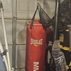 Everlasting Punching Bag