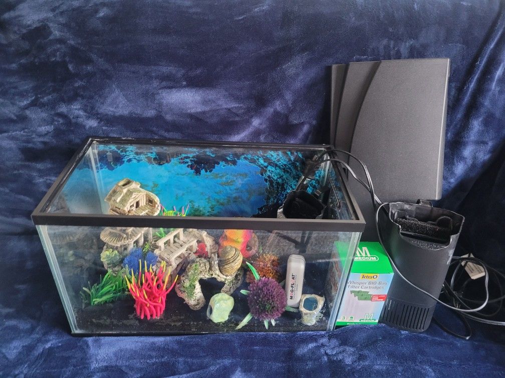 15 Gallon Fish Tank