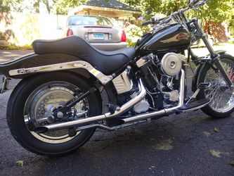 1998 Softail Custom