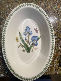 Portmeirion Botanic Garden Iris