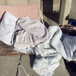 free free plumbing inspection 