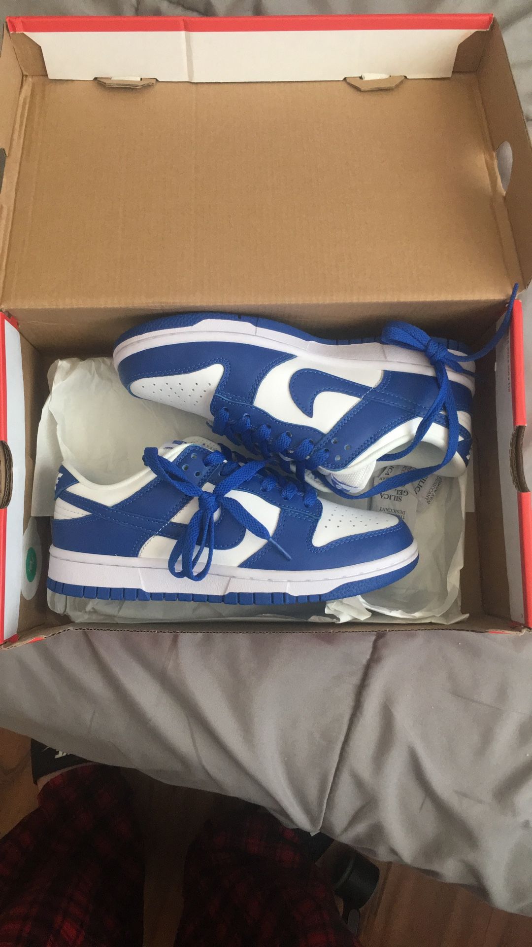 Royal Blue Nike Dunks