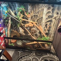 Black Glass Cage L -36”  W - 18”